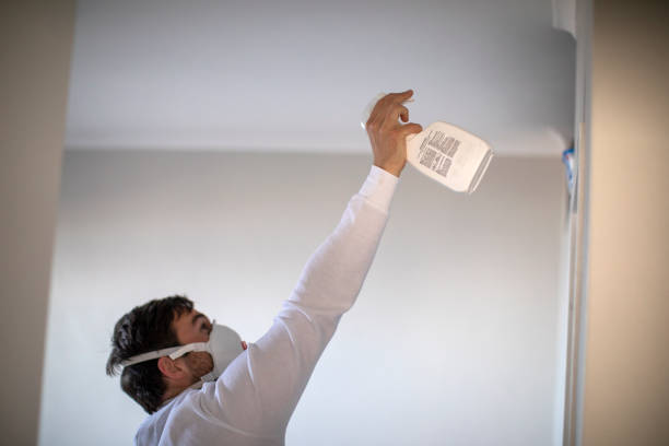 Best Mold Removal Process  in Algonquin, MD